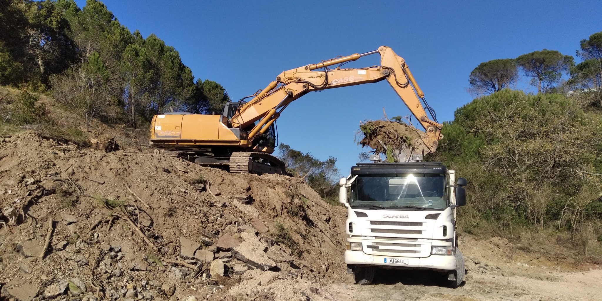 Limpeza de Terreno